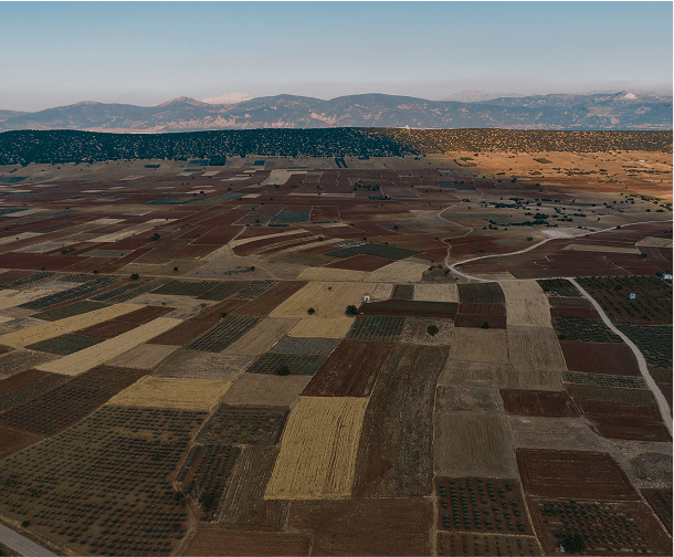 Real Estate Consulting